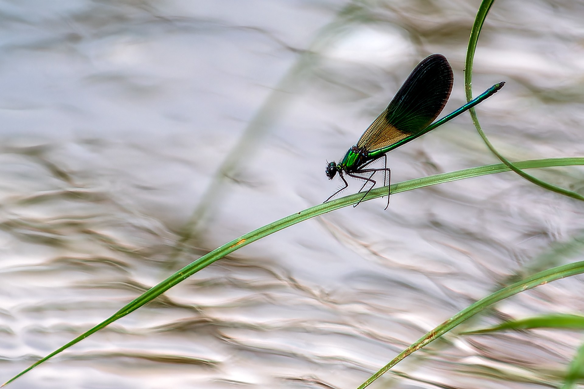 En équilibre DSC 0070